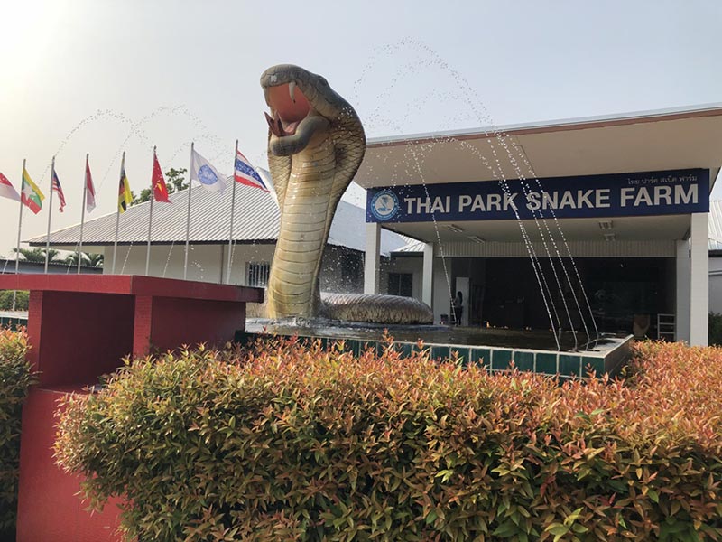 Viện Nghiên Cứu Rắn Hoàng Gia Thái Lan trong Tour du lịch Thái Lan 4 ngày