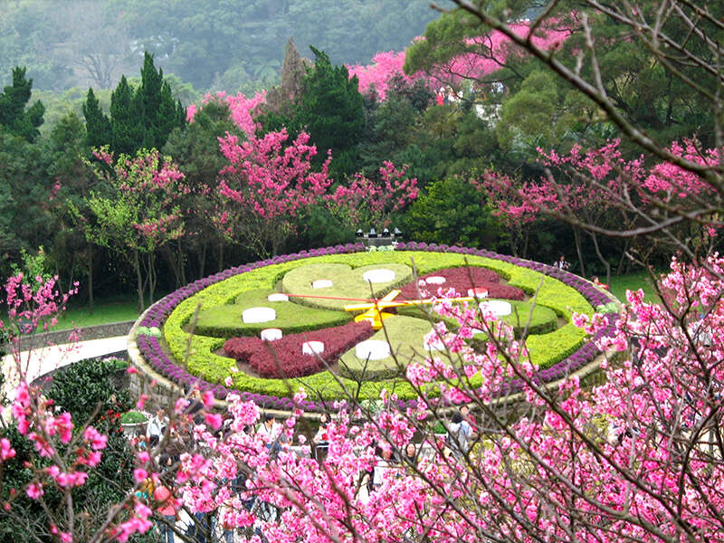 Công viên Dương Minh Sơn trong Du Lịch Đài Loan Tết Nguyên đán