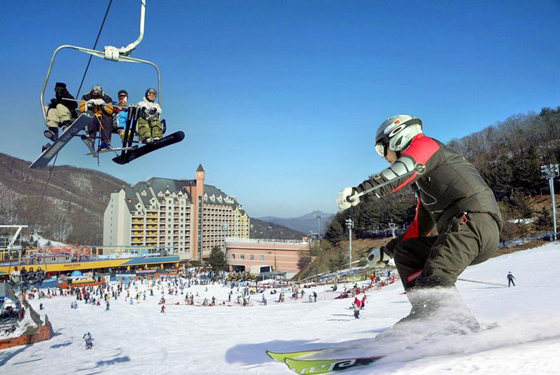 Khu trượt tuyết Yangji Pine trong tour du lịch hàn quốc tết âm