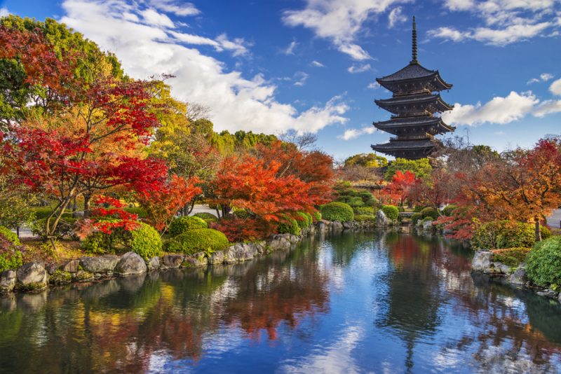 Chùa Toji hay Đông Tự là Di sản văn hóa cố đô Kyoto.