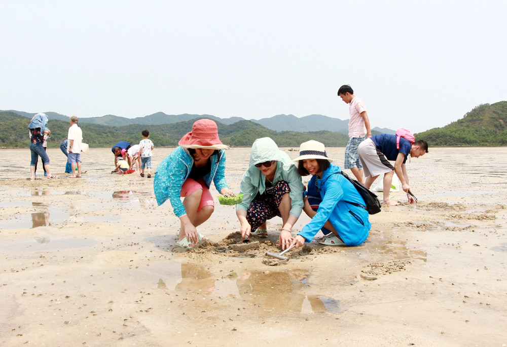 Trải nghiệm độc đáo Cạo Xiếp, bắt ngao trên đảo Quan Lạn