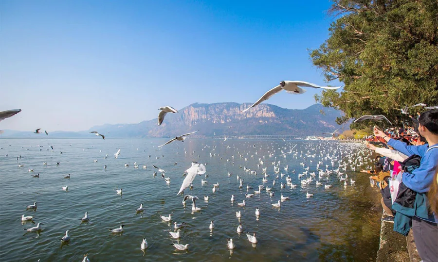 Hồ Điền Trì Côn Minh Tour Vân Nam đường bộ