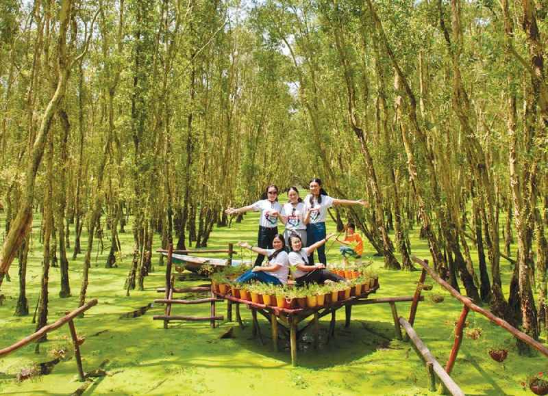 Rừng Tràm Trà Sư - 'Lá phổi xanh' của miền Tây Nam Bộ