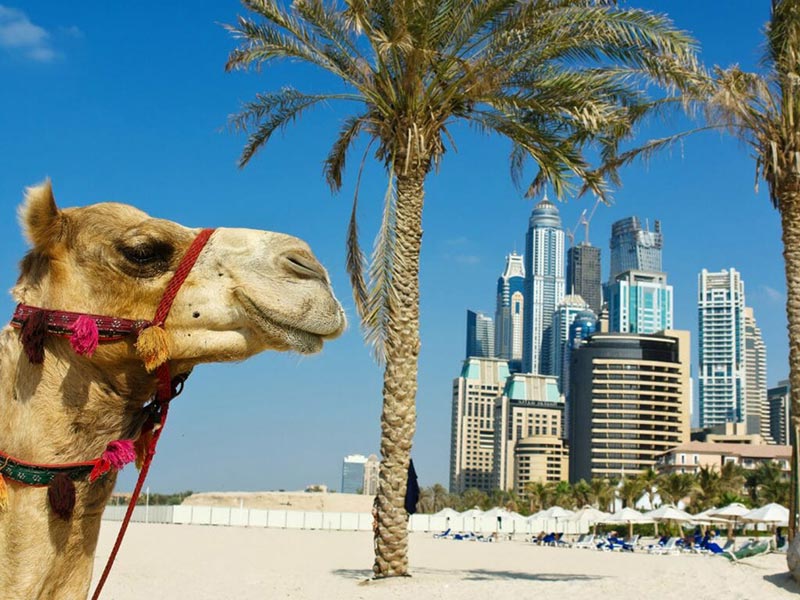Tour du lịch Dubai