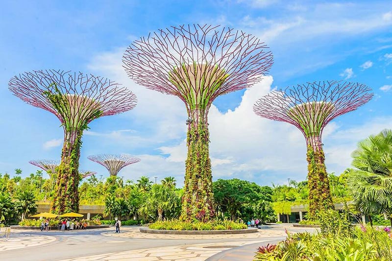 Vườn thực vật Garden by the Bay du lịch Singapore Malaysia